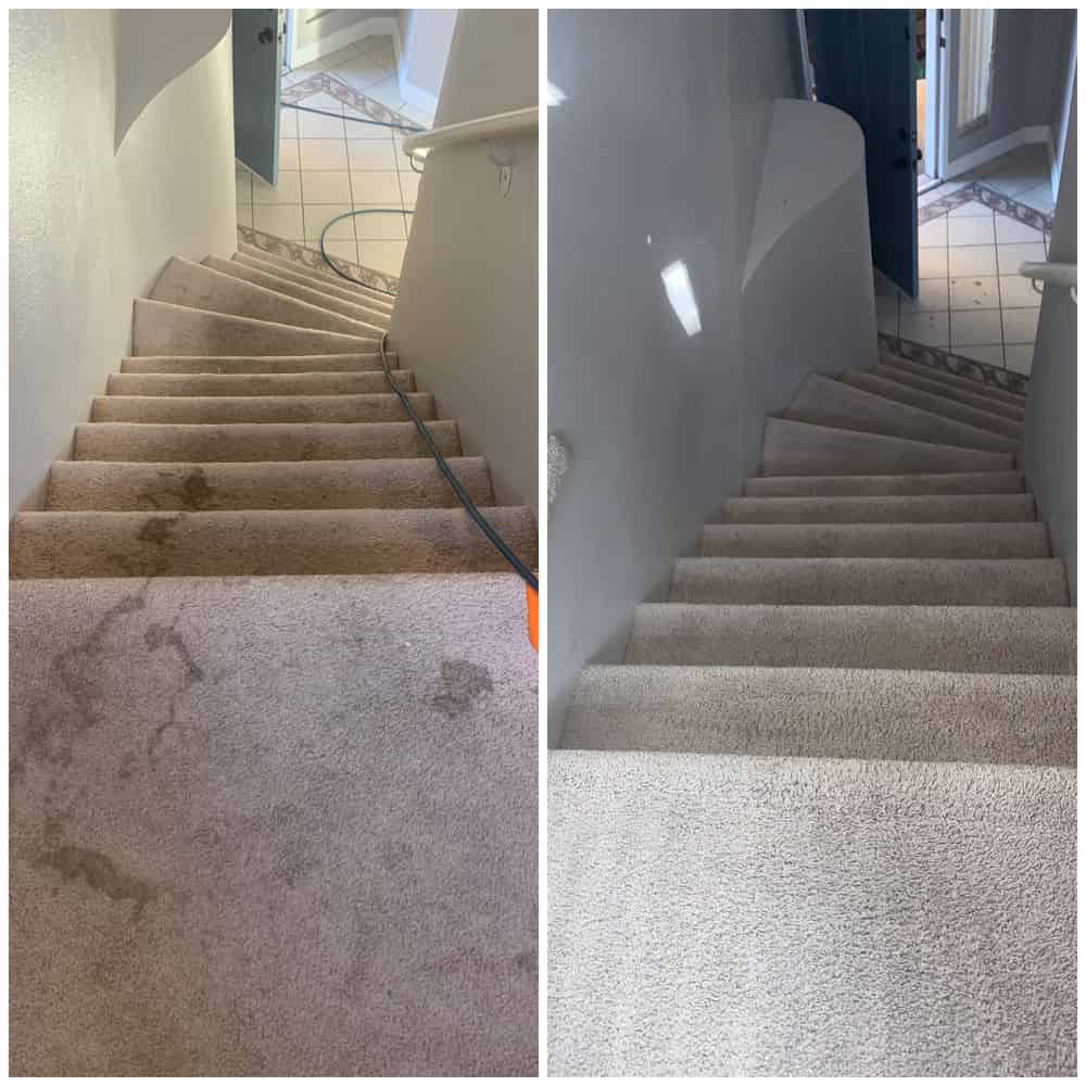 Residential Carpet Cleaning image