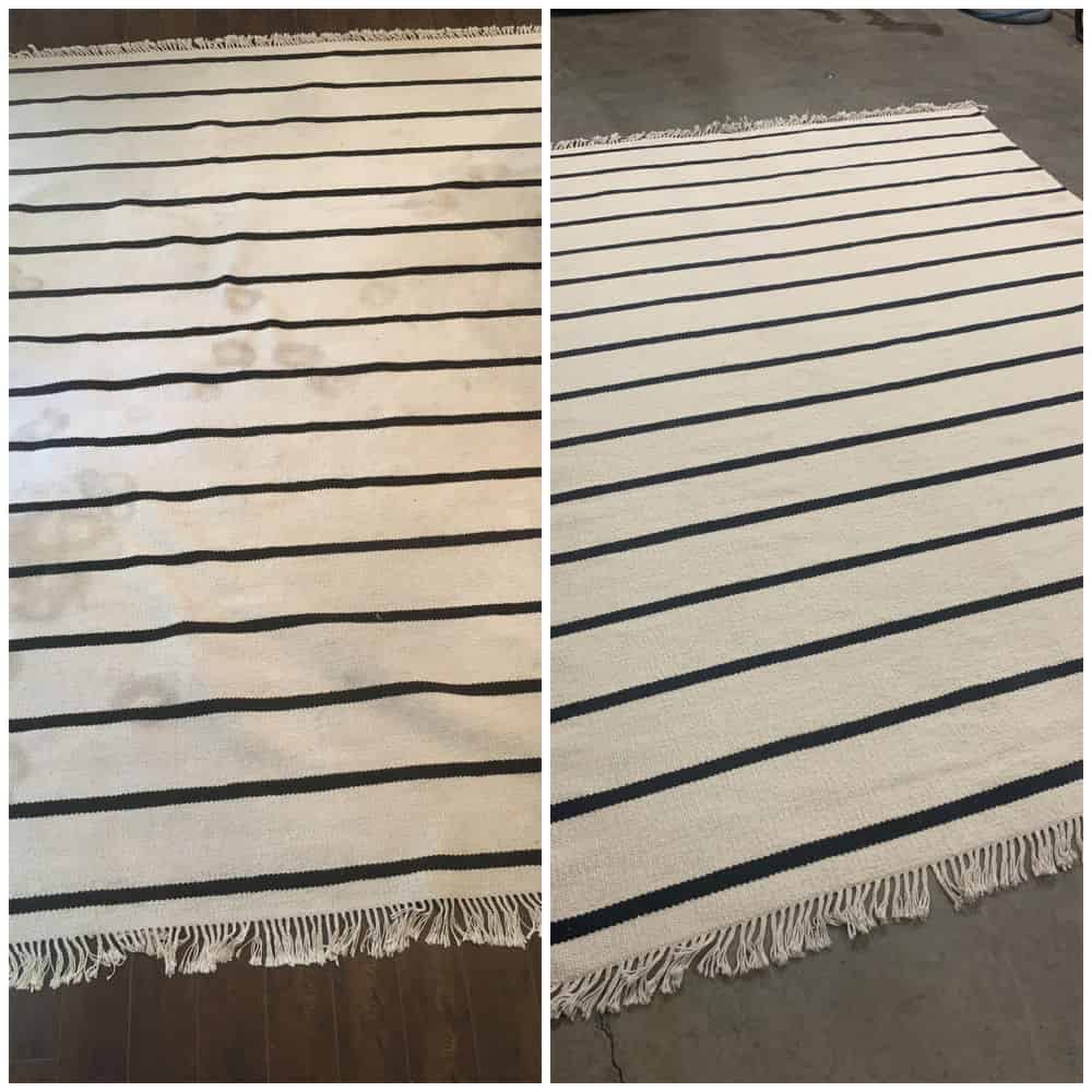 Area Rug Cleaning image