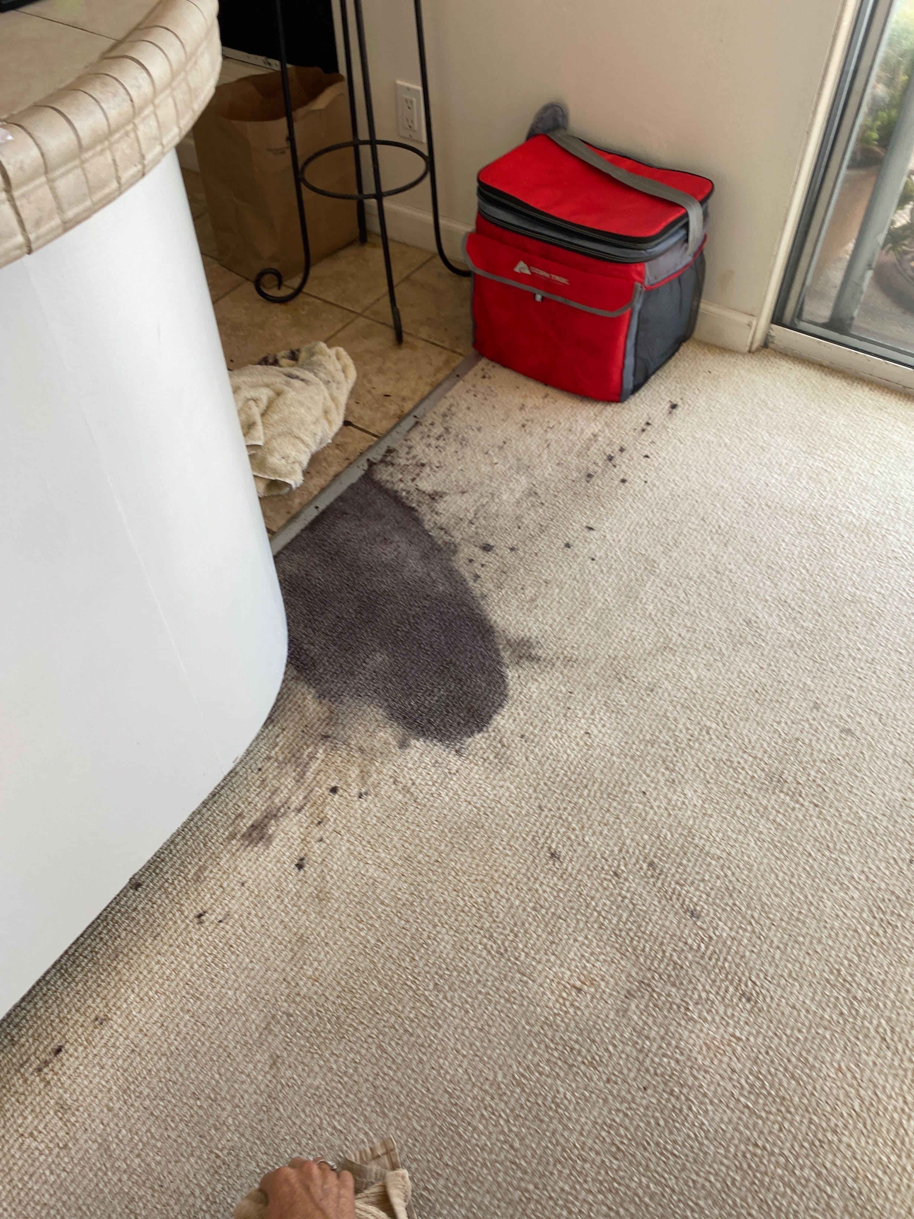 Project Impressive Carpet Cleaning in Malibu California image