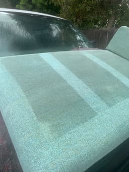 Top-Notch Curtain and Upholstery Cleaning's image