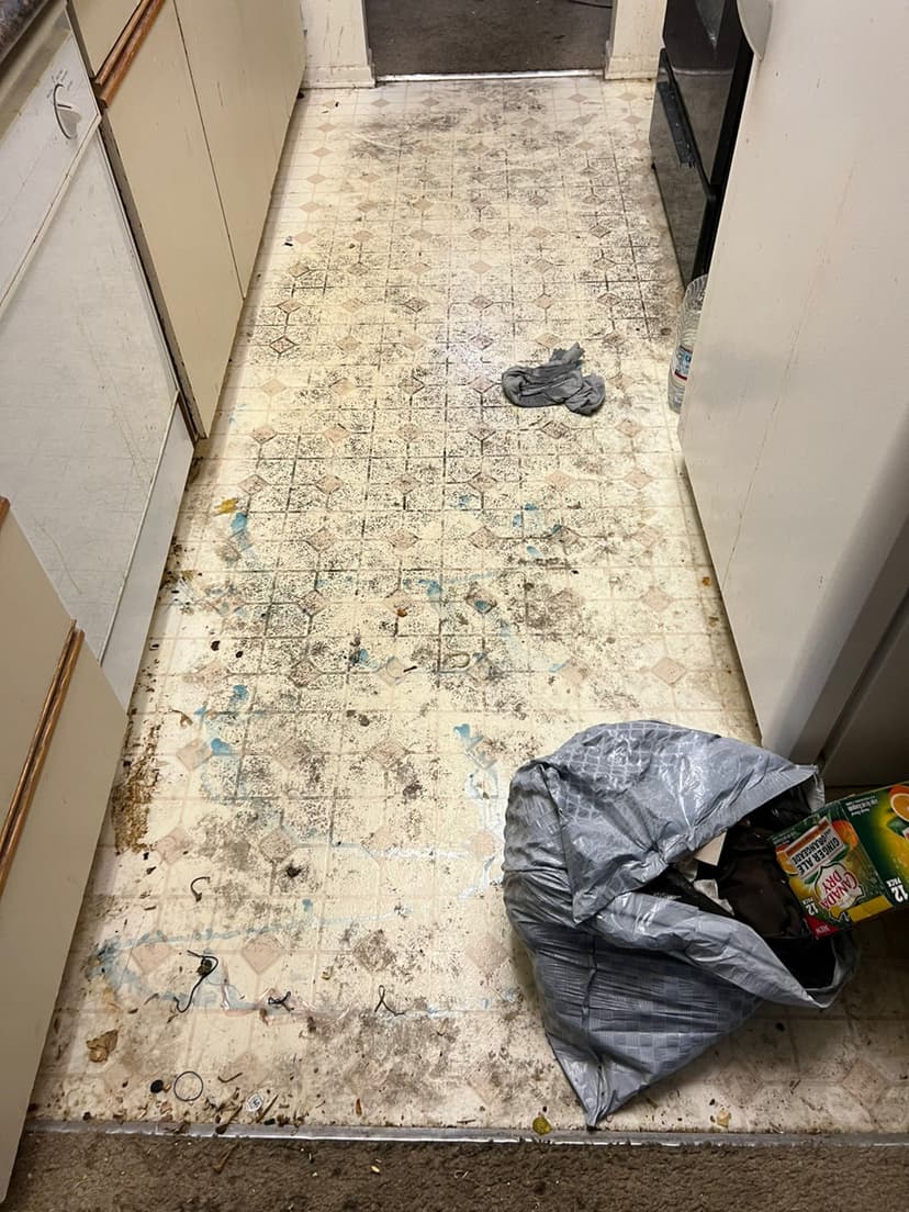 Remarkable Water Damage Restoration's image