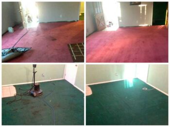 Clean Touch Carpet Cleaning Gallery